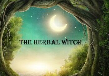 The Herbal Witch Merchant Store Link